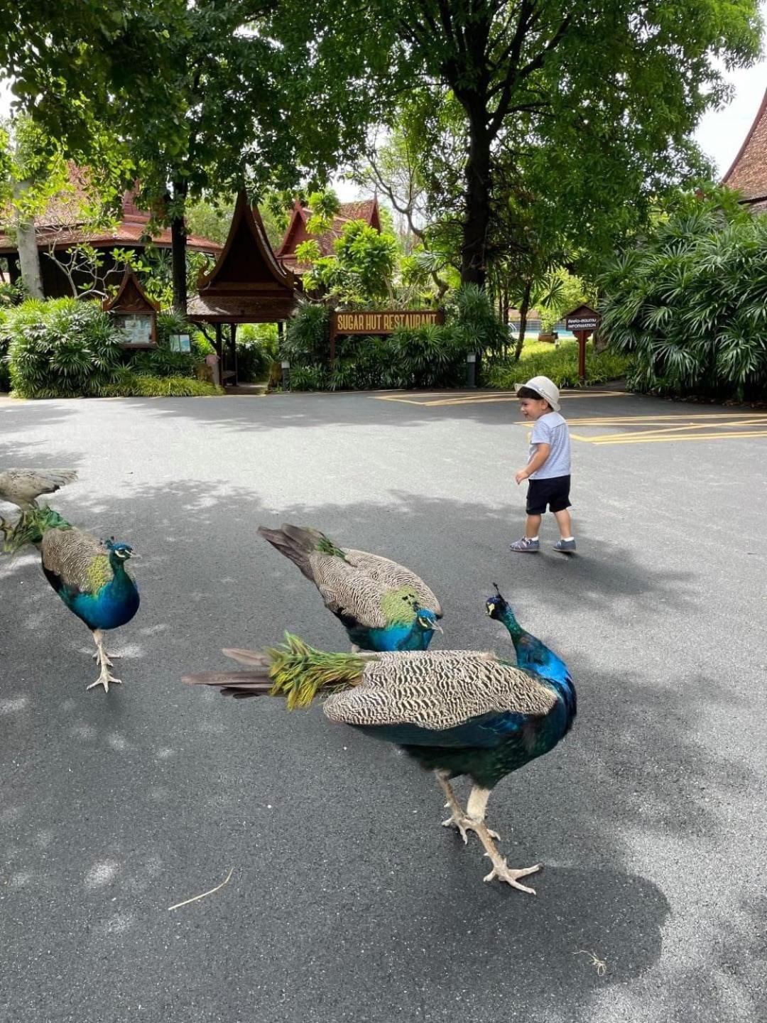 Resort Sugar Hut Resort&restaurant Pattaya